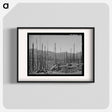 アートポスター-Cut-Over Forest Land, Clatsop County, Oregon
 - ラッセル リー Poster.
