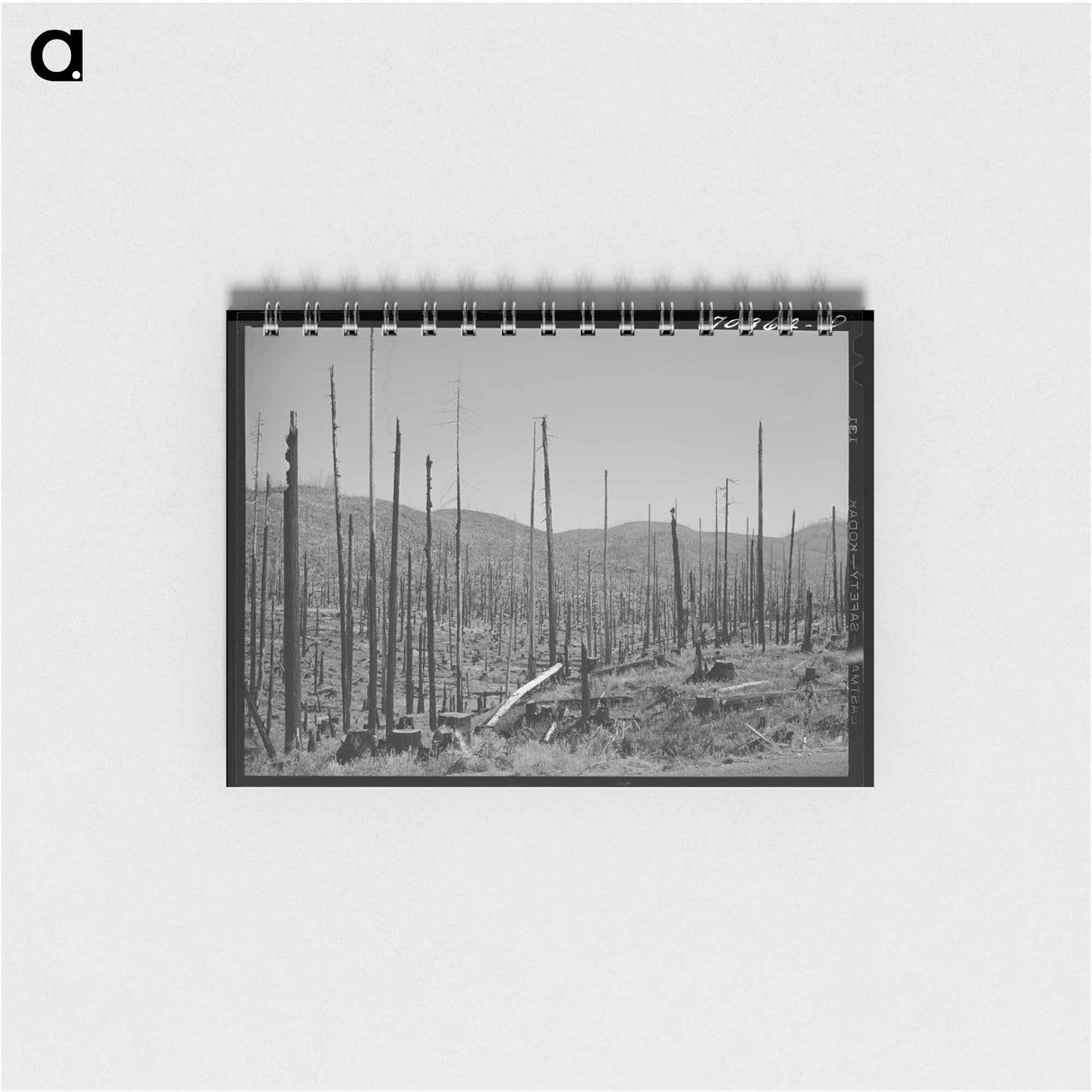 アートメモ帳-Cut-Over Forest Land, Clatsop County, Oregon
 - ラッセル リー Memo.