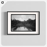 アートポスター-Trees and Moss along the Bayou, Port of Houston
 - ラッセル リー Poster.