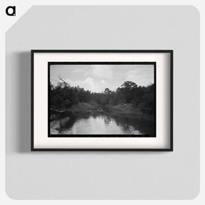 アートポスター-Trees and Moss along the Bayou, Port of Houston
 - ラッセル リー Poster.