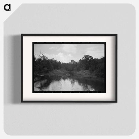アートポスター-Trees and Moss along the Bayou, Port of Houston
 - ラッセル リー Poster.