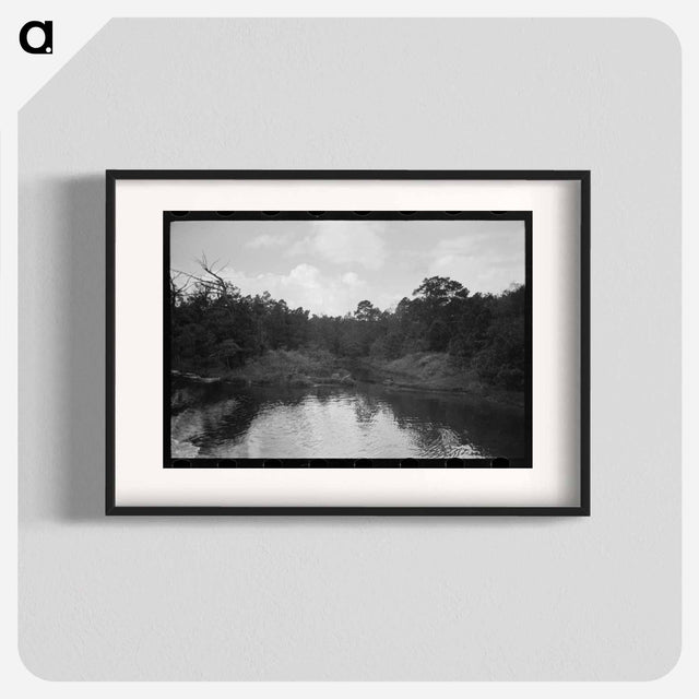 アートポスター-Trees and Moss along the Bayou, Port of Houston
 - ラッセル リー Poster.