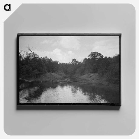 アートパネル-Trees and Moss along the Bayou, Port of Houston
 - ラッセル リー Canvas.