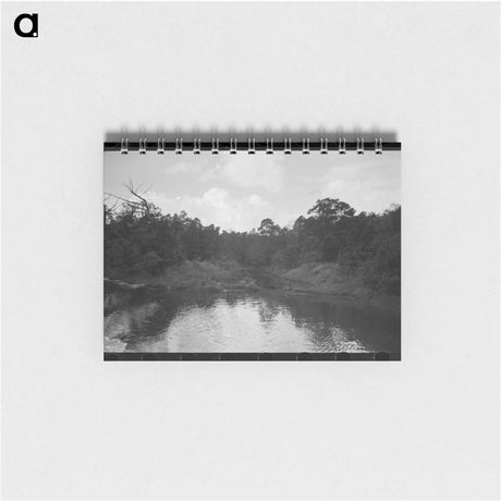 アートメモ帳-Trees and Moss along the Bayou, Port of Houston
 - ラッセル リー Memo.