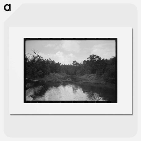 アートポスター-Trees and Moss along the Bayou, Port of Houston
 - ラッセル リー Poster.