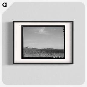 アートポスター-Plowed Land, Bexar County
 - ラッセル リー Poster.