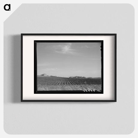 アートポスター-Plowed Land, Bexar County
 - ラッセル リー Poster.