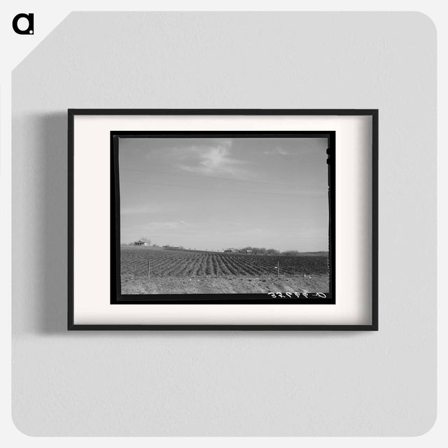 アートポスター-Plowed Land, Bexar County
 - ラッセル リー Poster.