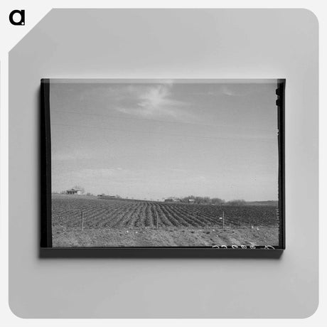 アートパネル-Plowed Land, Bexar County
 - ラッセル リー Canvas.