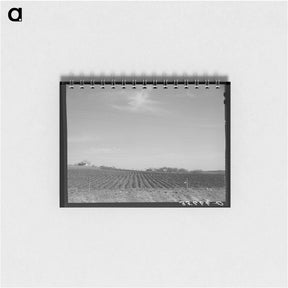 アートメモ帳-Plowed Land, Bexar County
 - ラッセル リー Memo.