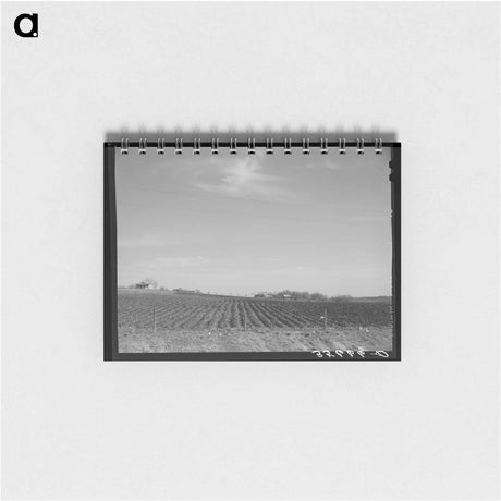 アートメモ帳-Plowed Land, Bexar County
 - ラッセル リー Memo.