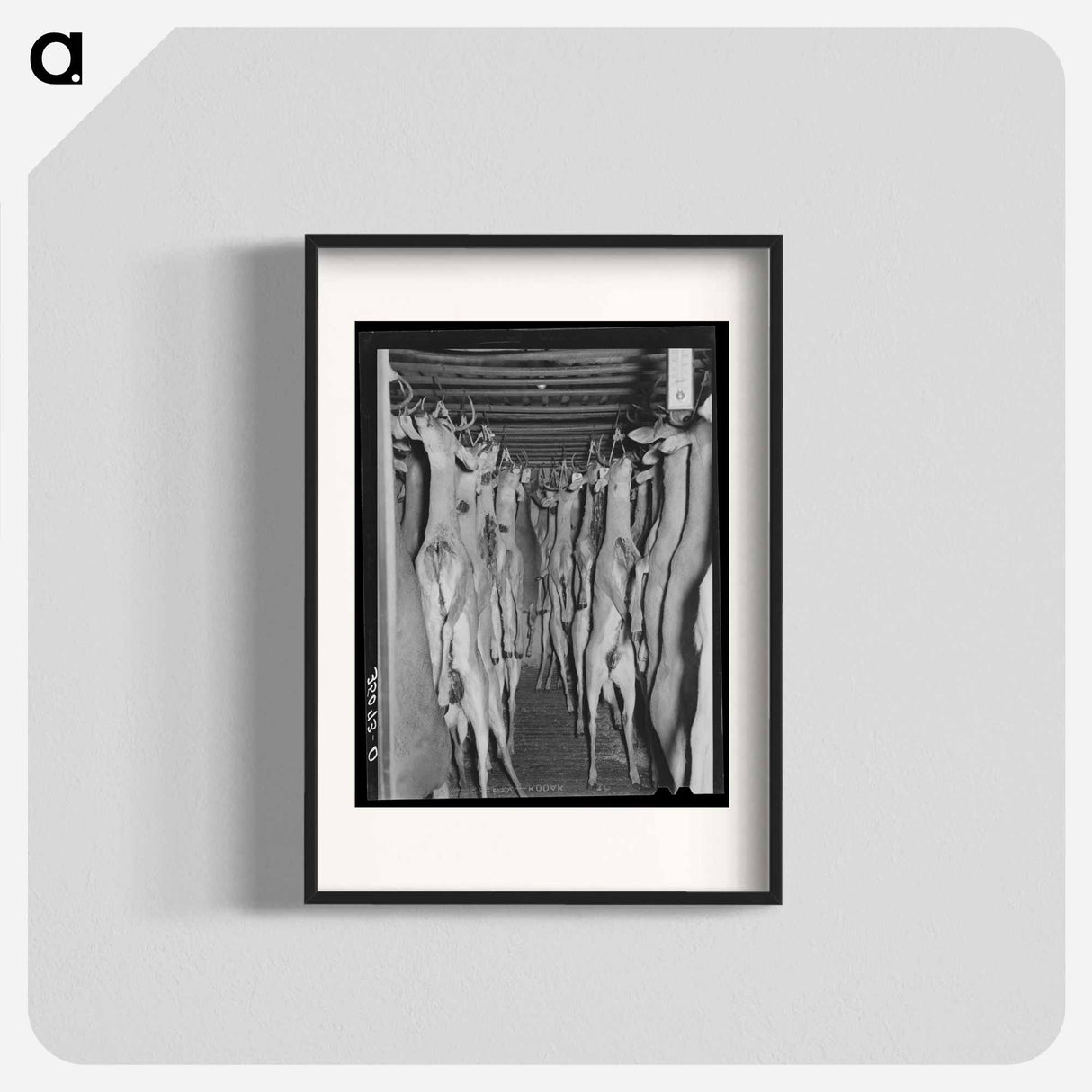 アートポスター-Deer in Cold Storage, Mason, Texas
 - ラッセル リー Poster.