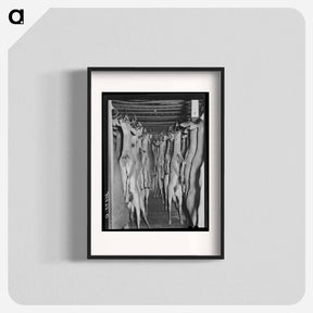 アートポスター-Deer in Cold Storage, Mason, Texas
 - ラッセル リー Poster.