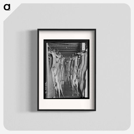 アートポスター-Deer in Cold Storage, Mason, Texas
 - ラッセル リー Poster.