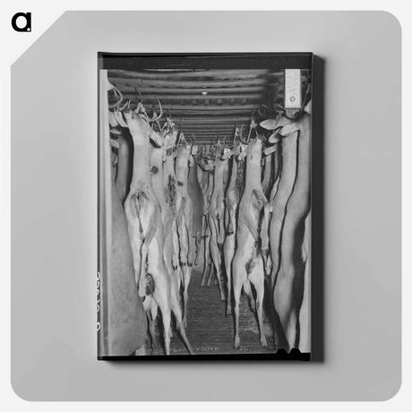 アートパネル-Deer in Cold Storage, Mason, Texas
 - ラッセル リー Canvas.