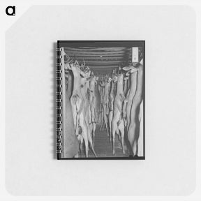 アートメモ帳-Deer in Cold Storage, Mason, Texas
 - ラッセル リー Memo.