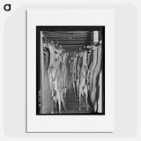 アートポスター-Deer in Cold Storage, Mason, Texas
 - ラッセル リー Poster.