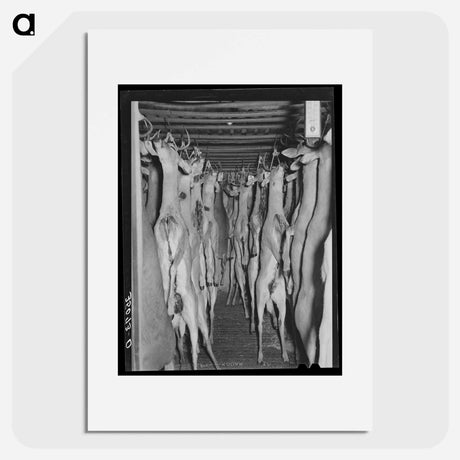 アートポスター-Deer in Cold Storage, Mason, Texas
 - ラッセル リー Poster.