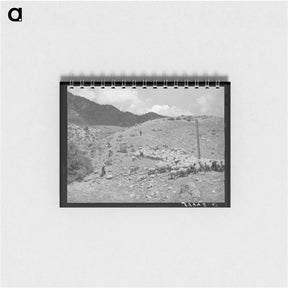 アートメモ帳-Driving Fat Lambs to Cimarron, Colorado
 - ラッセル リー Memo.