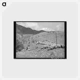 アートポストカード-Driving Fat Lambs to Cimarron, Colorado
 - ラッセル リー Postcard.
