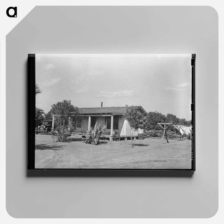 アートパネル-Farm Home, Hidalgo County, Texas
 - ラッセル リー Canvas.