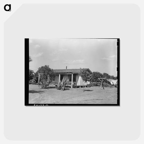 アートポストカード-Farm Home, Hidalgo County, Texas
 - ラッセル リー Postcard.