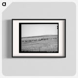 アートポスター-Rancher Feeding Hay, Little Colorado River Valley
 - ラッセル リー Poster.