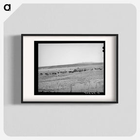 アートポスター-Rancher Feeding Hay, Little Colorado River Valley
 - ラッセル リー Poster.