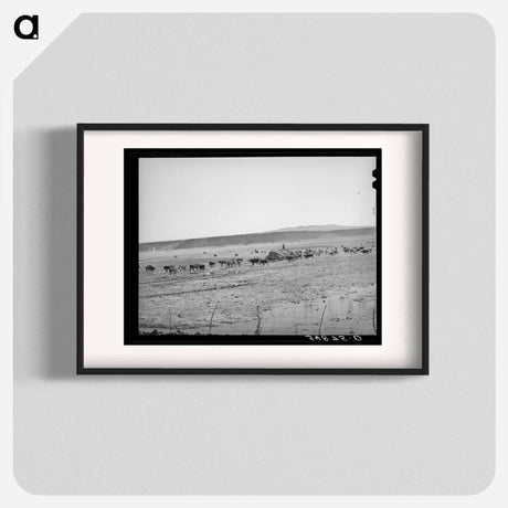 アートポスター-Rancher Feeding Hay, Little Colorado River Valley
 - ラッセル リー Poster.