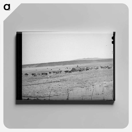 アートパネル-Rancher Feeding Hay, Little Colorado River Valley
 - ラッセル リー Canvas.
