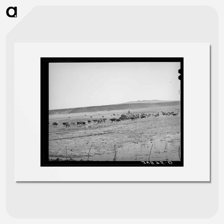 アートポスター-Rancher Feeding Hay, Little Colorado River Valley
 - ラッセル リー Poster.