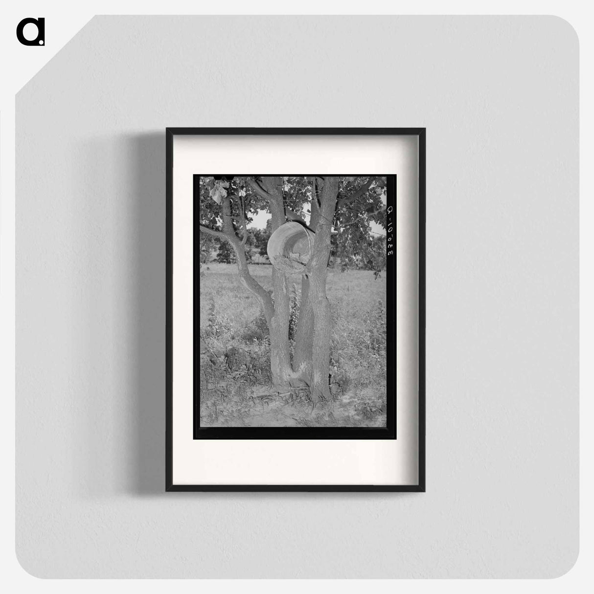アートポスター-Hen's Nest in Tree, McIntosh County, Oklahoma
 - ラッセル リー Poster.