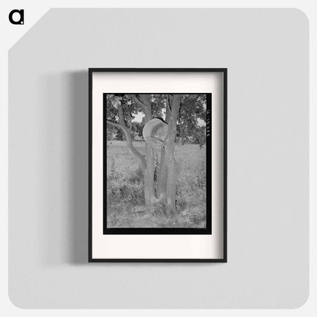 アートポスター-Hen's Nest in Tree, McIntosh County, Oklahoma
 - ラッセル リー Poster.