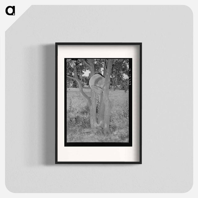 アートポスター-Hen's Nest in Tree, McIntosh County, Oklahoma
 - ラッセル リー Poster.