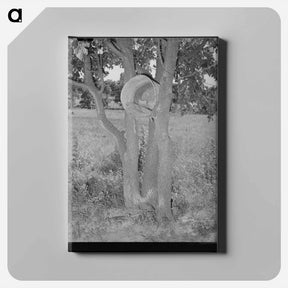 アートパネル-Hen's Nest in Tree, McIntosh County, Oklahoma
 - ラッセル リー Canvas.