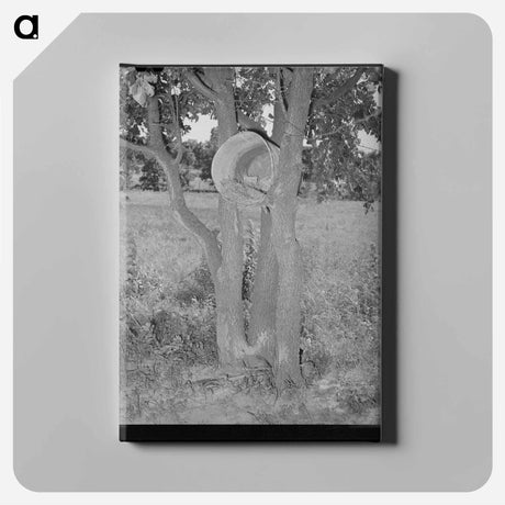 アートパネル-Hen's Nest in Tree, McIntosh County, Oklahoma
 - ラッセル リー Canvas.