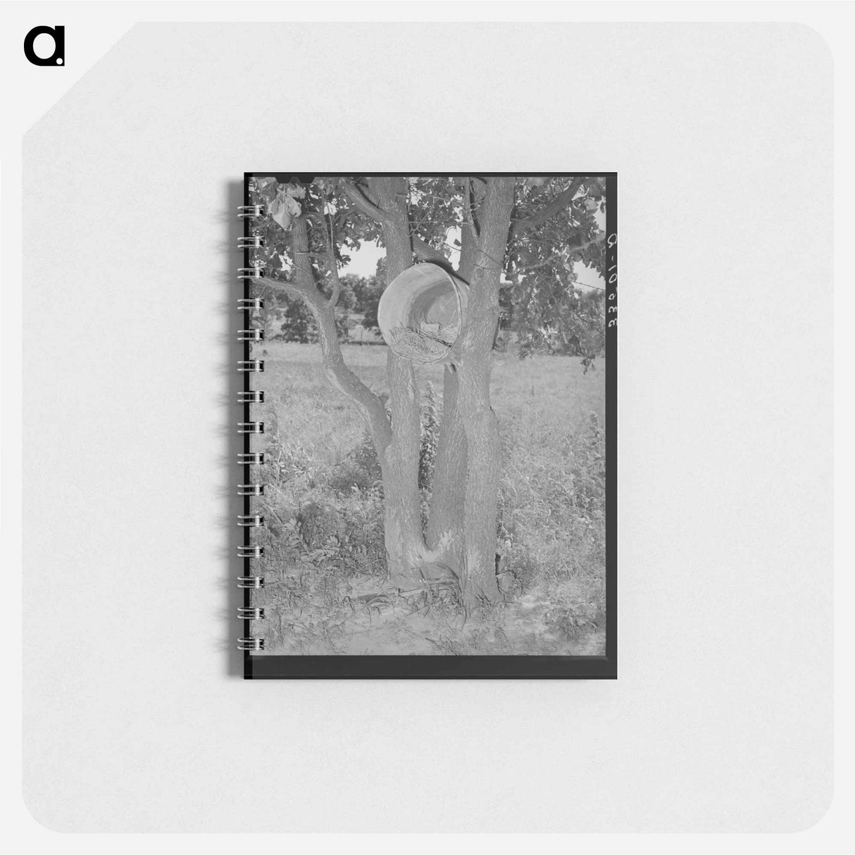 アートメモ帳-Hen's Nest in Tree, McIntosh County, Oklahoma
 - ラッセル リー Memo.