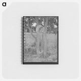 アートメモ帳-Hen's Nest in Tree, McIntosh County, Oklahoma
 - ラッセル リー Memo.