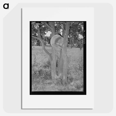 アートポスター-Hen's Nest in Tree, McIntosh County, Oklahoma
 - ラッセル リー Poster.