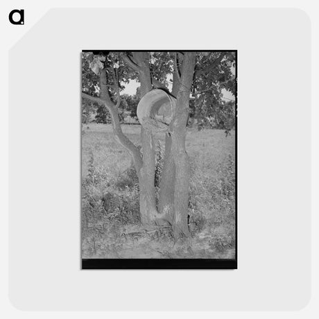 アートポストカード-Hen's Nest in Tree, McIntosh County, Oklahoma
 - ラッセル リー Postcard.