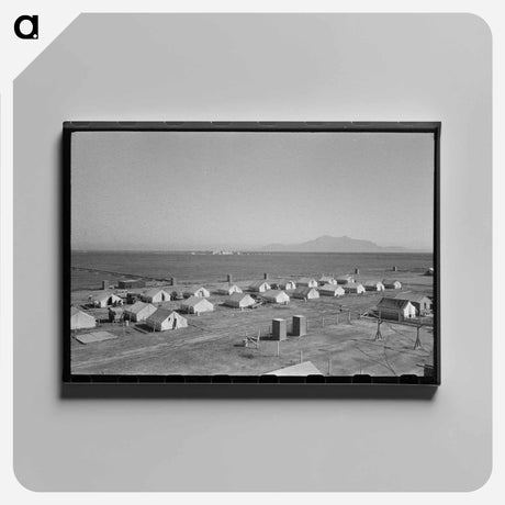 アートパネル-FSA Farmworkers Camp, Friendly Corners, Arizona
 - ラッセル リー Canvas.