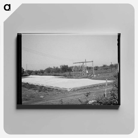 アートパネル-Frame Gardens, San Angelo, Texas
 - ラッセル リー Canvas.
