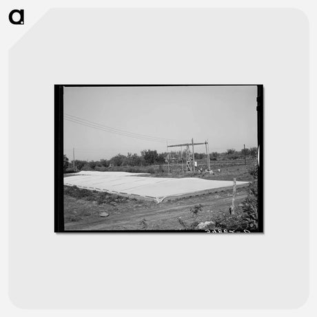 アートポストカード-Frame Gardens, San Angelo, Texas
 - ラッセル リー Postcard.