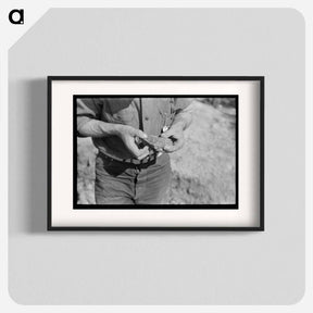アートポスター-Piece of Ore in Hand of Prospector, Pinos Altos, New Mexico
 - ラッセル リー Poster.