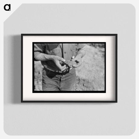 アートポスター-Piece of Ore in Hand of Prospector, Pinos Altos, New Mexico
 - ラッセル リー Poster.