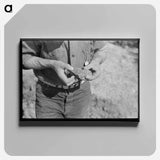 アートパネル-Piece of Ore in Hand of Prospector, Pinos Altos, New Mexico
 - ラッセル リー Canvas.