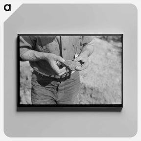 アートパネル-Piece of Ore in Hand of Prospector, Pinos Altos, New Mexico
 - ラッセル リー Canvas.