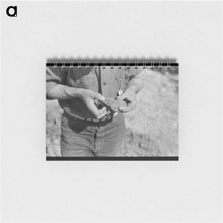 アートメモ帳-Piece of Ore in Hand of Prospector, Pinos Altos, New Mexico
 - ラッセル リー Memo.