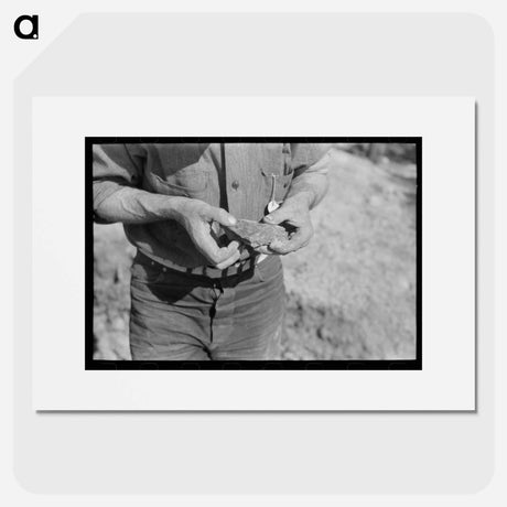 アートポスター-Piece of Ore in Hand of Prospector, Pinos Altos, New Mexico
 - ラッセル リー Poster.