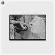 アートポストカード-Piece of Ore in Hand of Prospector, Pinos Altos, New Mexico
 - ラッセル リー Postcard.